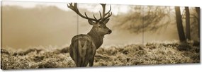 Vászonkép 120x40 Szarvas erdő naplemente