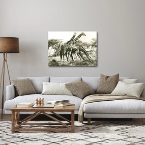 Kép - Zsiráfok, vintage (70x50 cm)