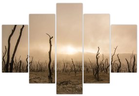 Kép - Csupasz fák (150x105 cm)