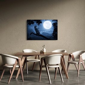 Kép - Éjszakai bagoly (90x60 cm)