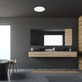 Rabalux - Fürdőszobai LED mennyezeti lámpa LED/20W/230V IP44