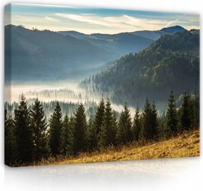 Vászonkép Hegyek Tájkép Természet Erdő 60x40