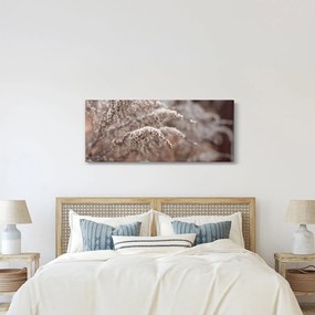 A növények képe (120x50 cm)