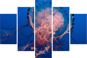 Medúza képe (150x105 cm)