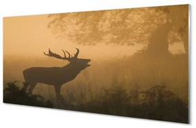 Akrilkép Deer napkelte 100x50 cm
