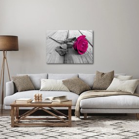 Kép - Rózsaszín rózsa (70x50 cm)