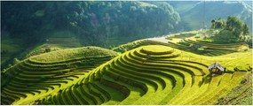 Kép - Rice Terraces koncert (120x50 cm)