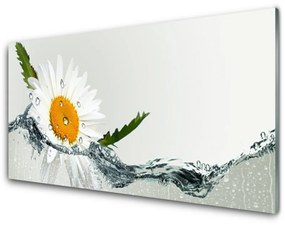 Modern üvegkép Daisy vízinövény 100x50 cm