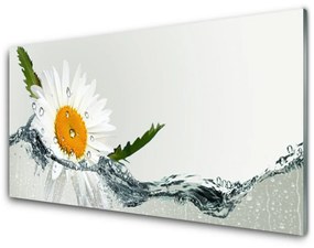 Modern üvegkép Daisy vízinövény 120x60cm 2 fogas