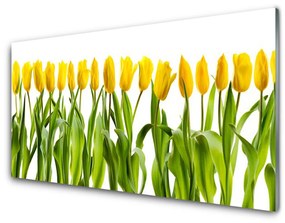 Akrilüveg fotó Tulipán virágok természet 100x50 cm 2 fogas