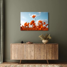 Kép - Réti virágok (90x60 cm)