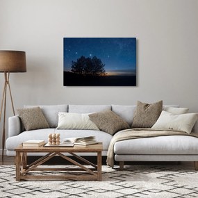 A fák éjjel képe (90x60 cm)