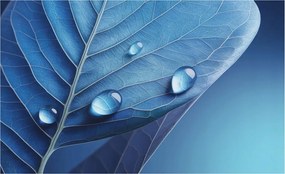 Flizelin tapéta Flizelin falikép Prémium levél kék 416x254 Ragasztó