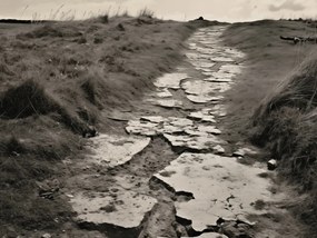 Poszter 40x30cm Memóriaút a dűnék között