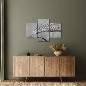 Kép - Búza, fekete-fehér (90x60 cm)