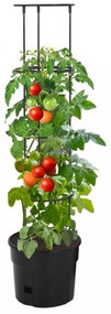 antracitszürke polipropilén paradicsomtermesztő Ø29,5 x 115 cm