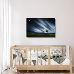Az aurora borealis képe egy lápvidéken (90x60 cm)