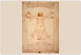 Poszterek 185x125 A vitruviusi ember