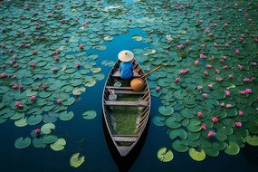 Poszter 30x20cm Csónak a tavirózsa között