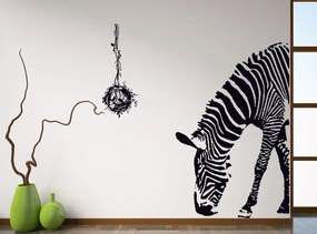 Falmatrica"Zebra" 100x95 cm