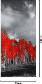 Fotótapéta ajtóra - Vörös fák (95x205cm)