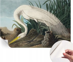 Öntapadós tapéta 3D fali furnér Fenséges kócsag 104x70 cm