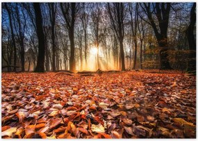 Poszterek 100x70 Őszi kilátás Tájkép