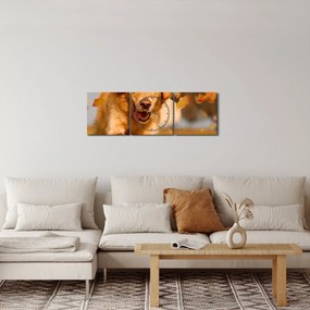 Kép - Golden Retriever (órával) (90x30 cm)