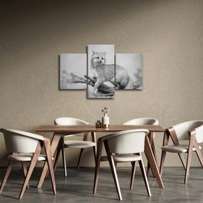 Kép - Szürke róka (90x60 cm)
