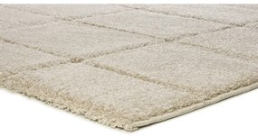 Krémszínű szőnyeg 160x230 cm Molier – Universal