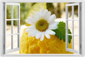 Poszterek 90x60 Gyümölcsös sárgabarack fagylalt