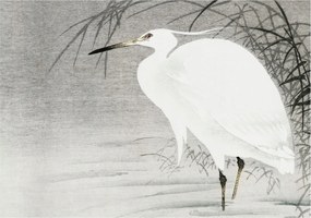 Fotótapéta Flizelin Dekoratív Hálószoba Vízi táj 208x146