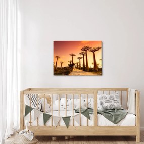 Kép - Naplemente a Baobab Alley-ben (70x50 cm)
