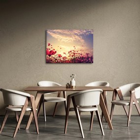 Kép - Rét virágokkal (70x50 cm)