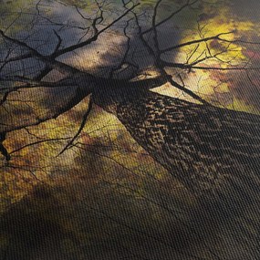 Kép - Titokzatos ég (90x60 cm)