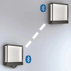 Steinel 085230 - LED Kültéri fali lámpa L40C LED/12,9W/230V IP54