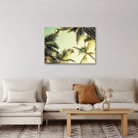 Kép kókuszpálmával (70x50 cm)