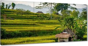 Festmények 180x90 Tájkép Látvány