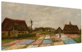 Kép - Vincent van Gogh, Flower Beds in Holland, reprodukciók (120x50 cm)