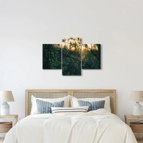 A ragyogó nap képe a fák gallyain keresztül (90x60 cm)