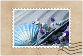 Poszterek 60x40 Kompozíció kagylóval