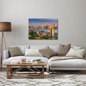 Kép - panoráma Rotterdam, Hollandia (70x50 cm)