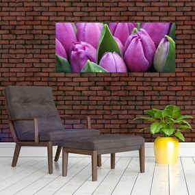 Kép - tulipánok (120x50 cm)