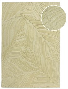 Zöld gyapjú szőnyeg 200x290 cm Lino Leaf – Flair Rugs