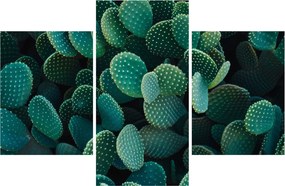 Kép - Opuntia (90x60 cm)