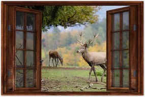 Poszterek 90x60 Szarvas a szeretett szarvassal