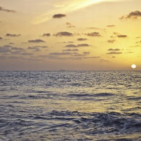 Poszter 30x30cm Naplemente a tengeren 3, Assaf Frank