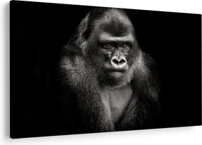 Kép - Gorilla (90x60 cm)