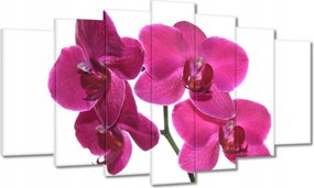 Vászonkép 140x80 Lila orchidea