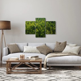 Kép - sűrű erdő (90x60 cm)